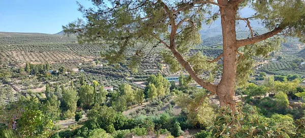 Spot image