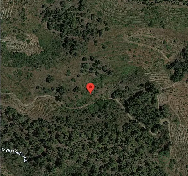 Spot image