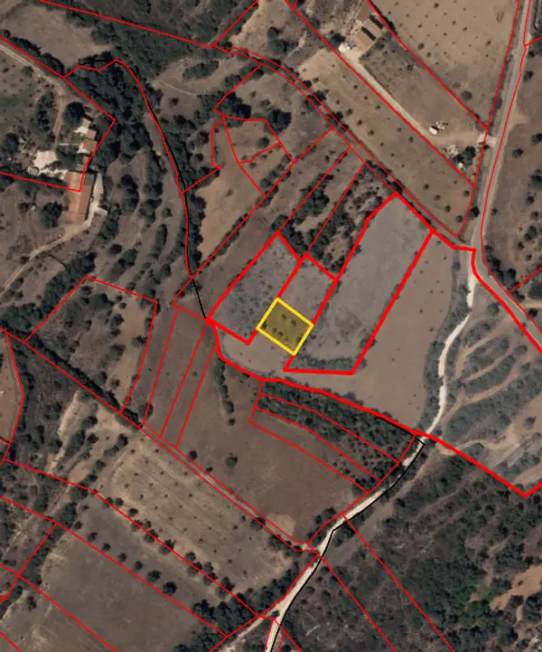 Spot image