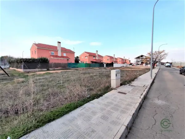 Spot image