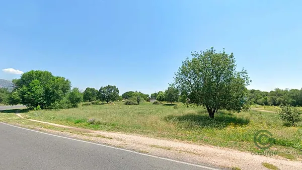 Spot image