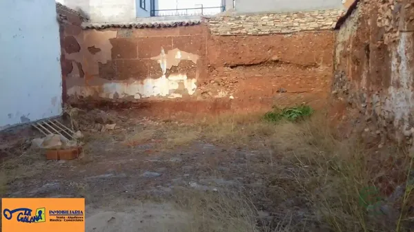 Spot image