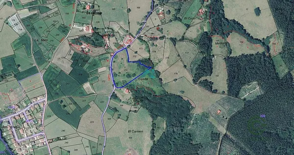 Spot image