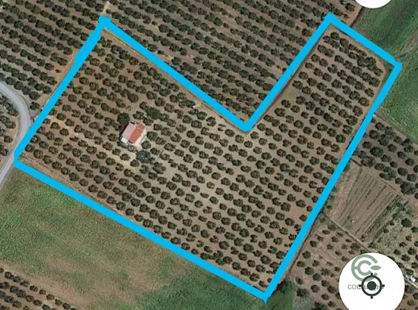 Spot image
