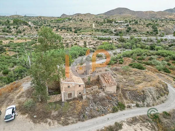 Spot image
