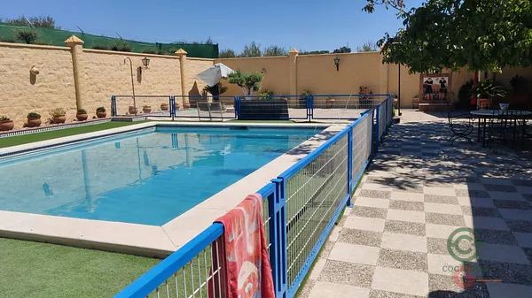 Spot image