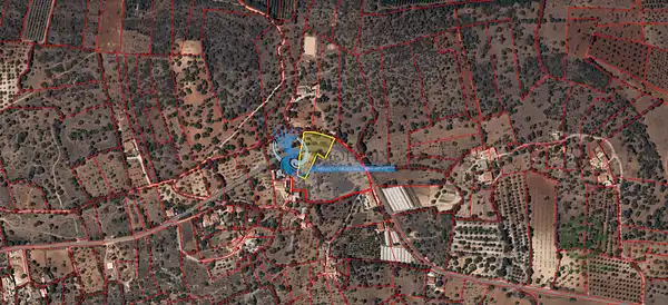 Spot image