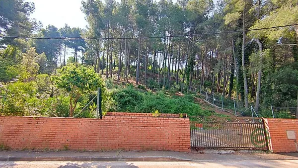 Spot image