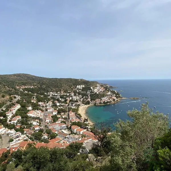 Spot image
