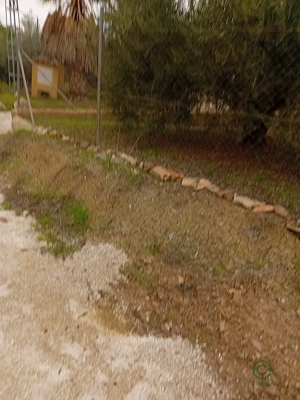 Spot image