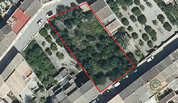 Spot image