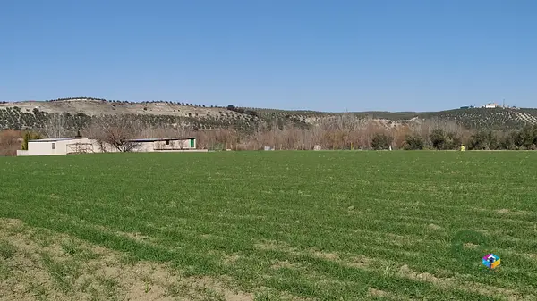 Spot image