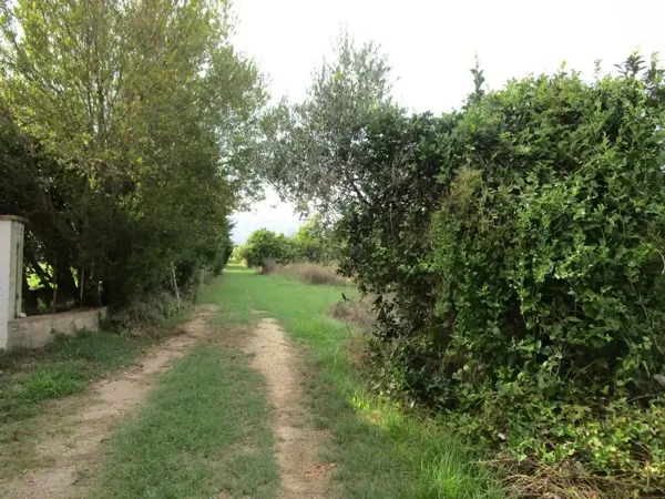 Spot image