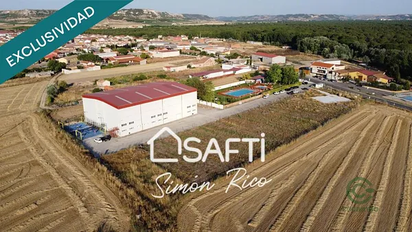Spot image