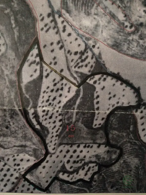 Spot image