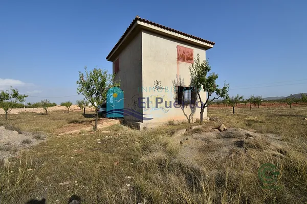 Spot image