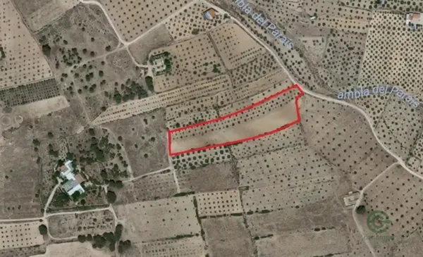 Spot image