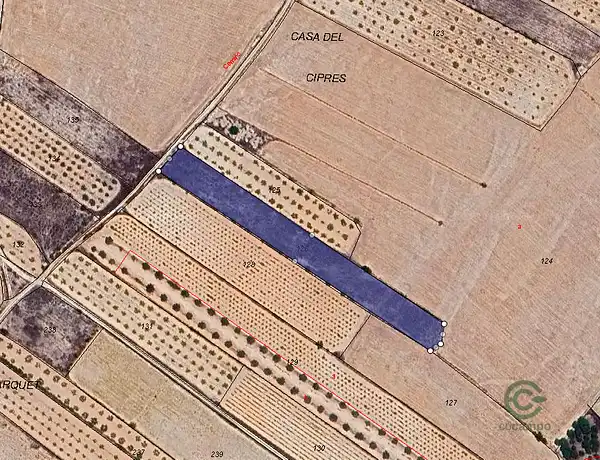 Spot image