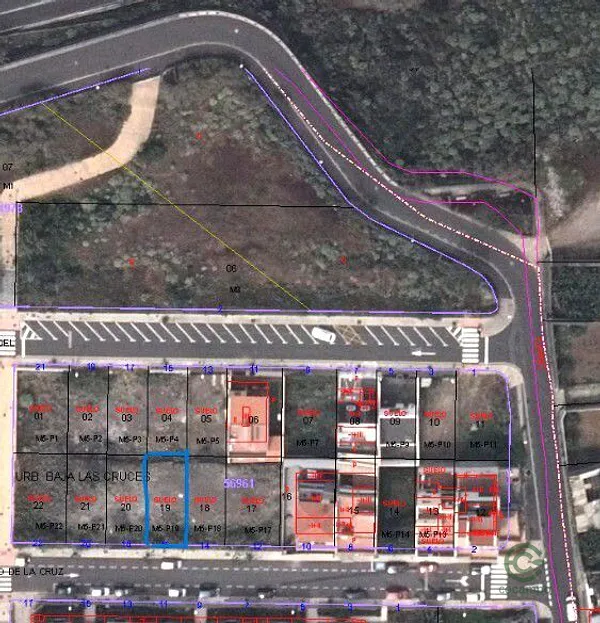 Spot image