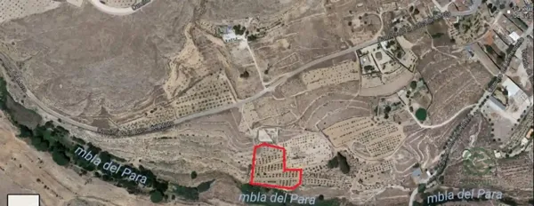 Spot image