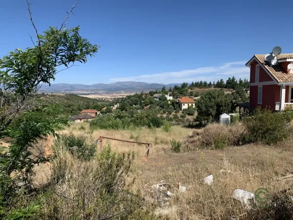 Spot image