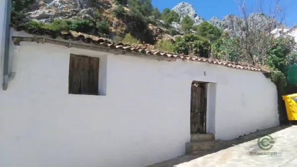 Spot image