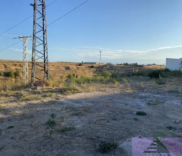Spot image