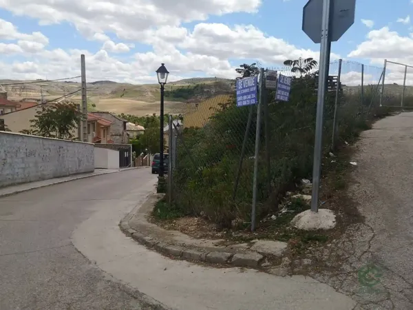 Spot image