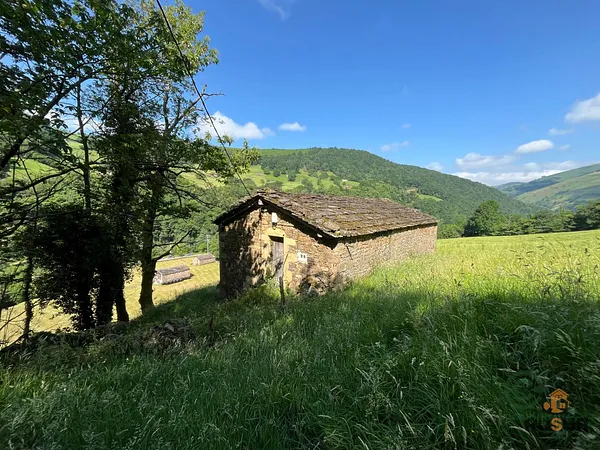 Spot image