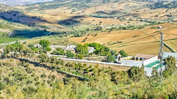 Spot image