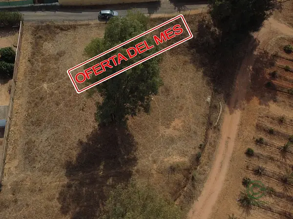Spot image
