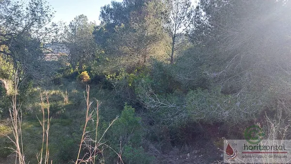 Spot image