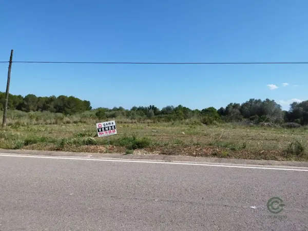 Spot image