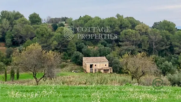 Spot image