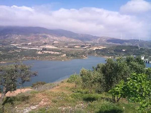 Spot image