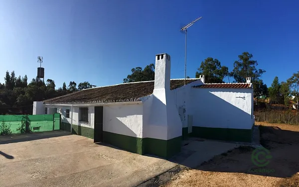Spot image