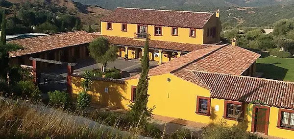 Spot image