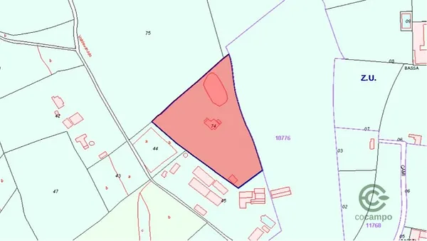 Spot image