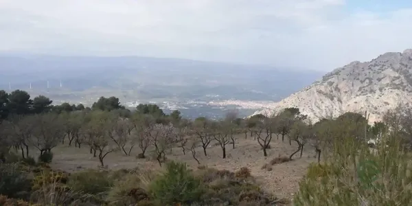 Spot image