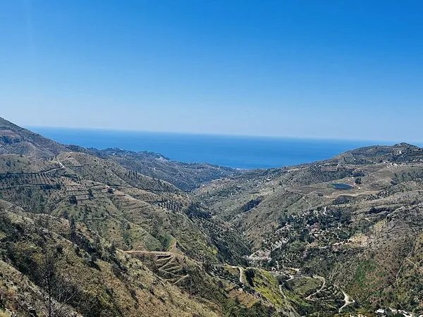 Spot image