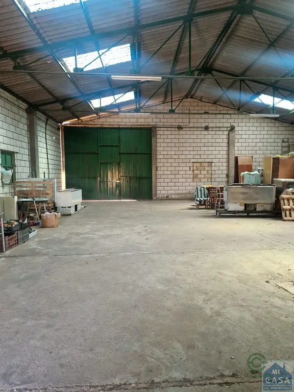 Spot image