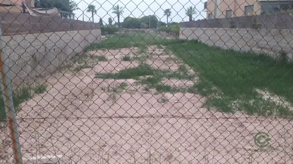 Spot image