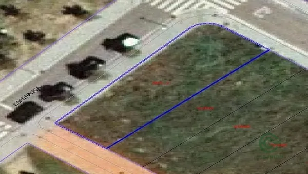Spot image