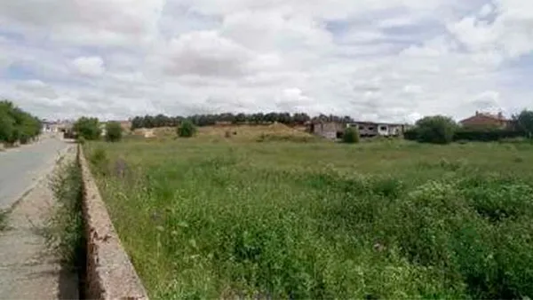 Spot image