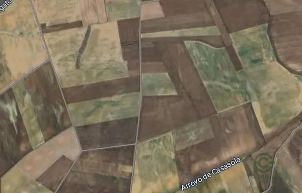 Spot image