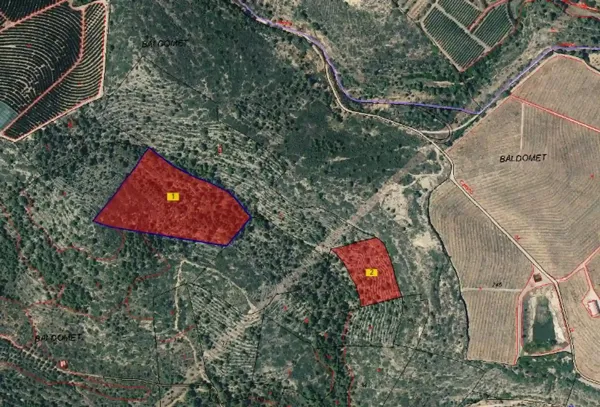 Spot image