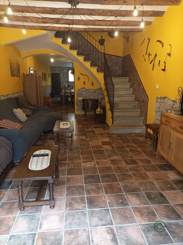 Spot image