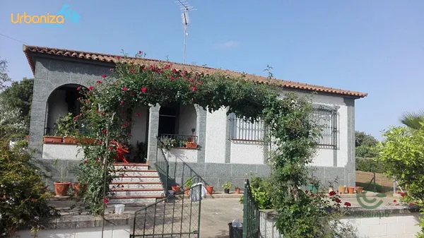 Spot image