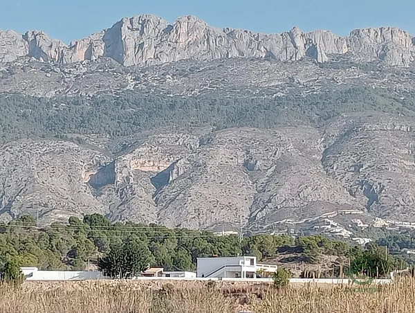 Spot image