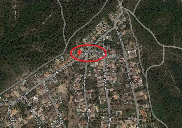 Spot image